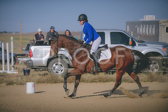 JJS_8028