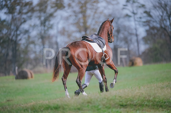 JJS_0949