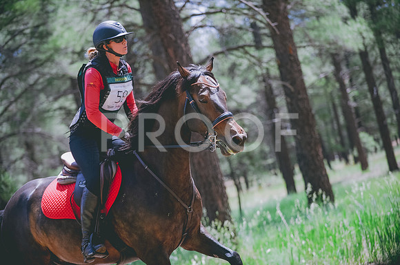 JJS_1811