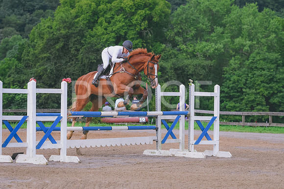 DSC_1147