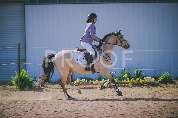 JJS_3470