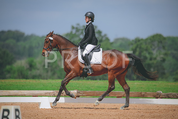 RWP_4313