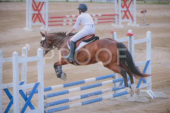 JJS_2482