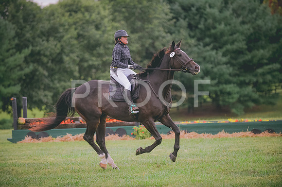 JJS_3747