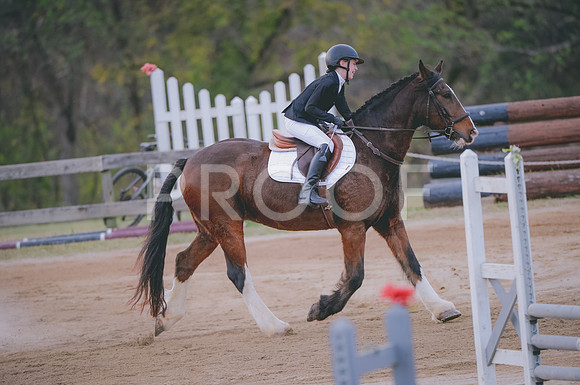 JJS_3529