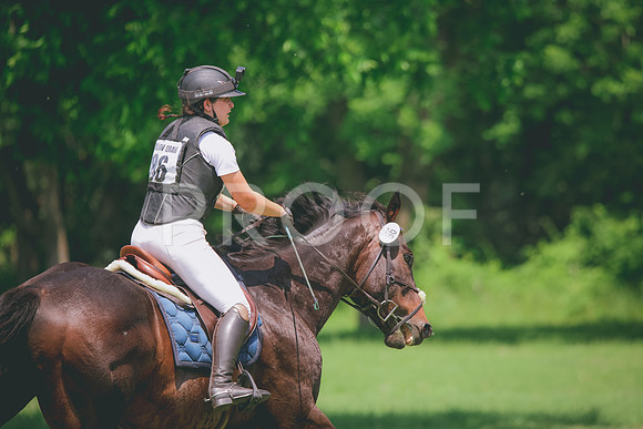 RWP_4206