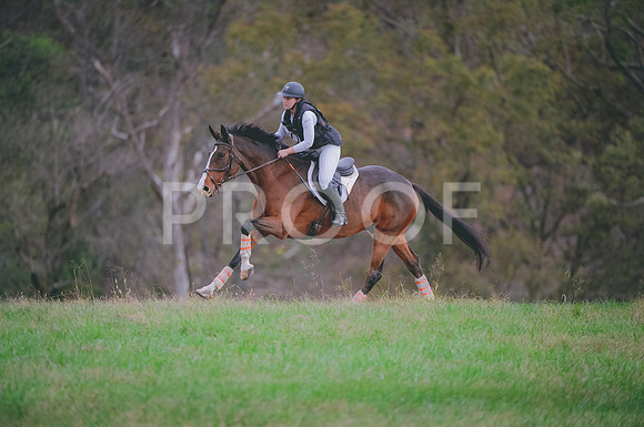 JJS_0660
