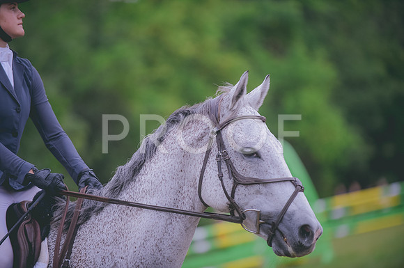 JJS_1168