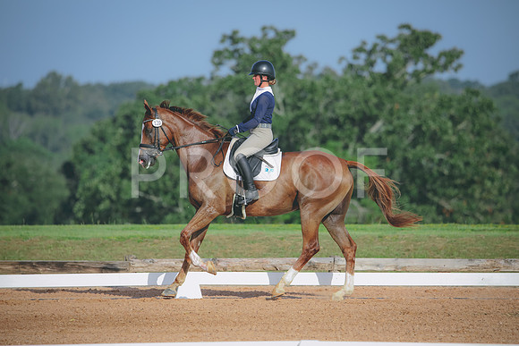 RWP_4421