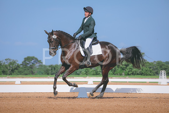 RWP_3977