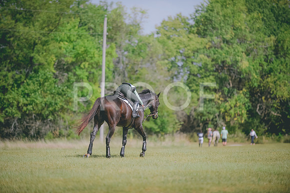 JJS_8344