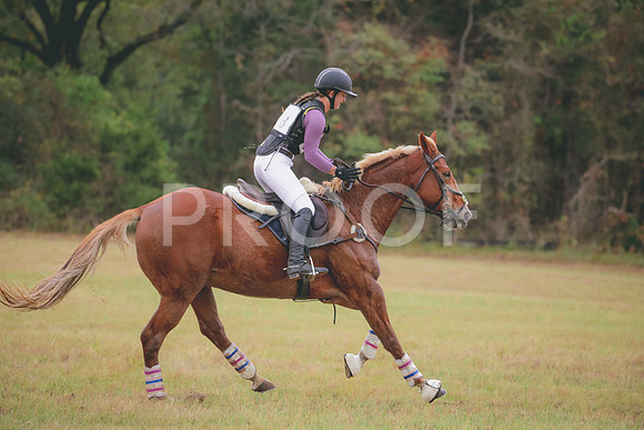 RWP_2746