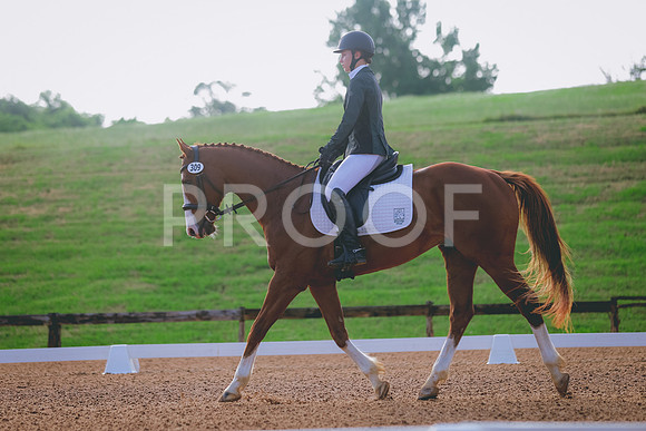 TKP_8749