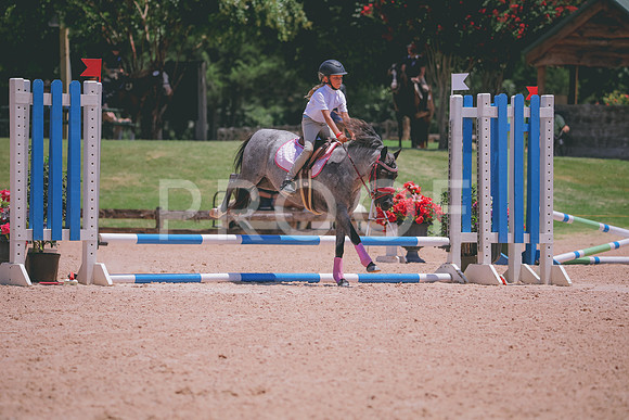 RWP_5833