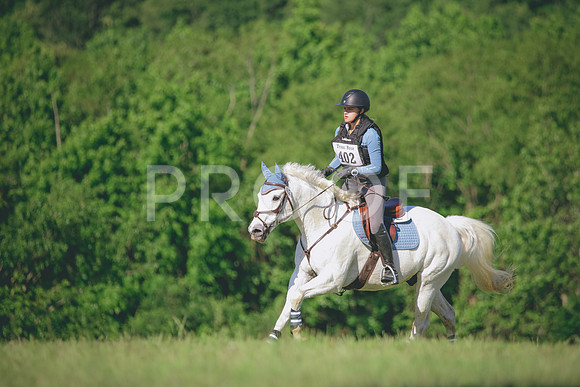 RWP_3010