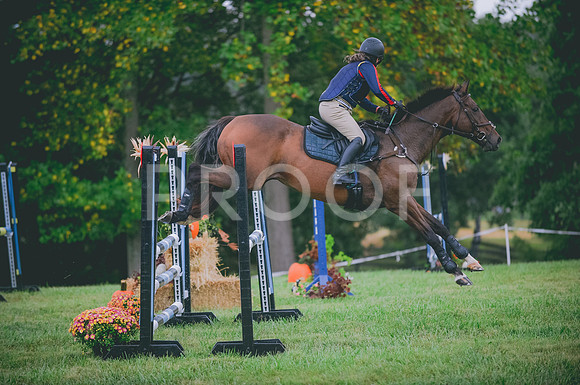 JJS_2531