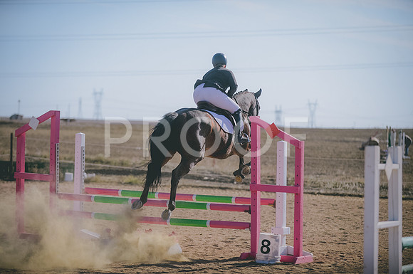 JJS_1258
