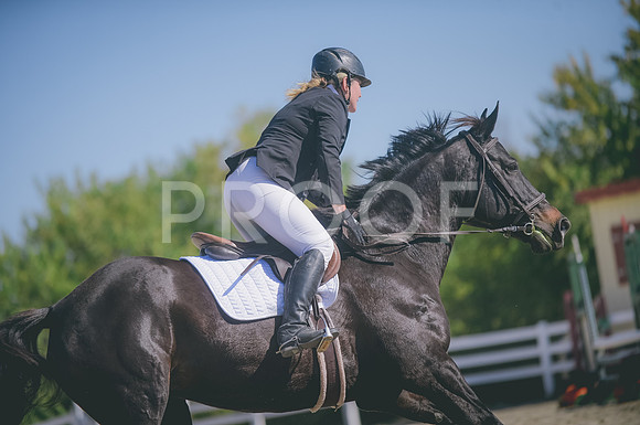 JJS_0918