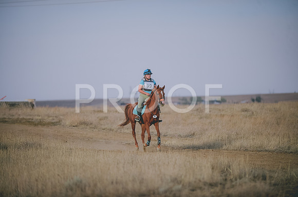 JJS_6194