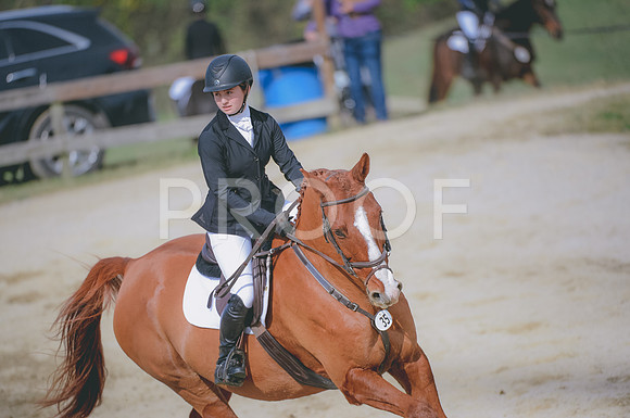 JJS_1029