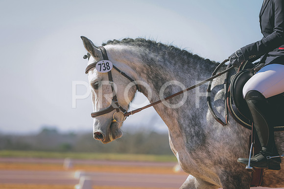 CDP_3724