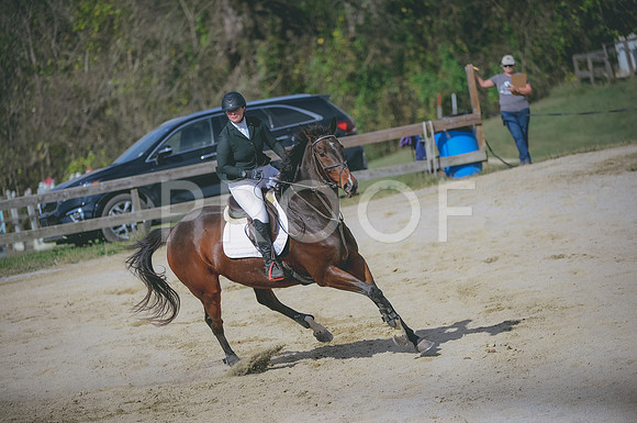 JJS_2204