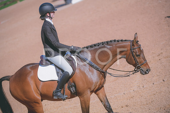 _DSC3940