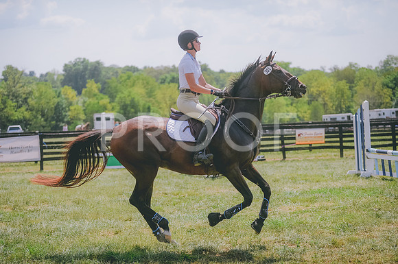 JJS_8406
