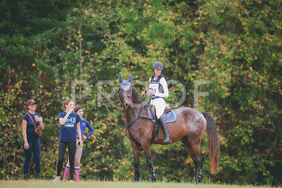 RWP_3297