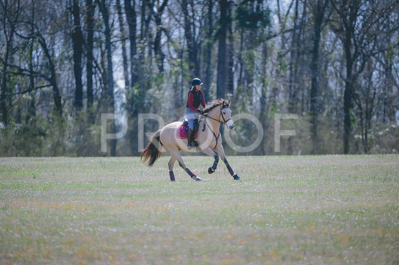 JJS_7647