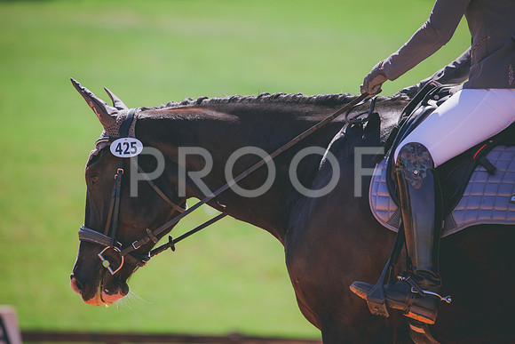 RWP_0027
