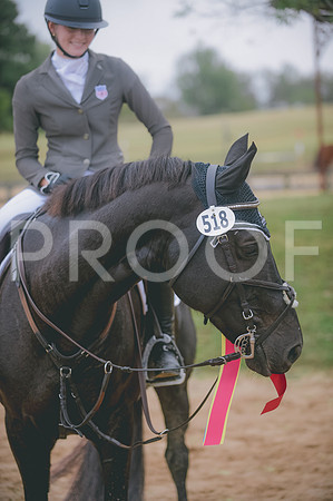 JJS_8432
