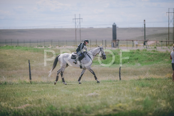 JJS_1235A