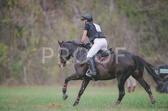 JJS_0569