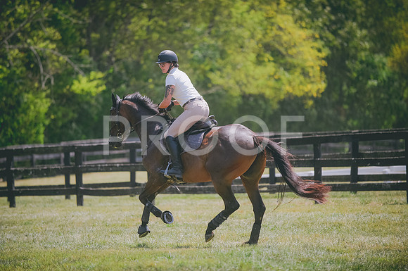 JJS_4434A