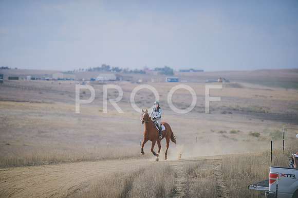 JJS_1780