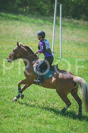 DSC_4890