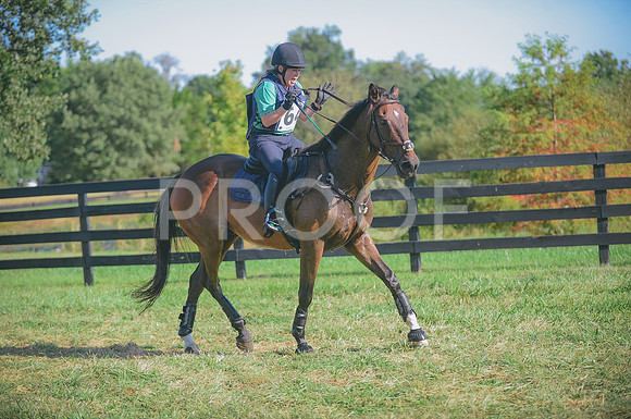 JJS_2290