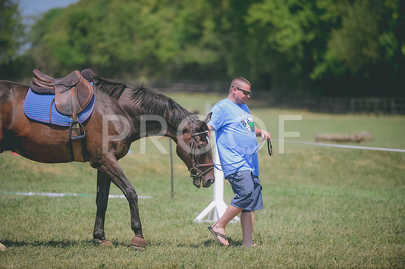 JJS_4748