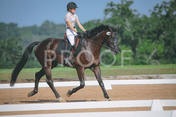 RWP_4651