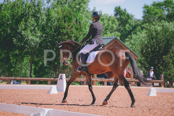 RWP_0092