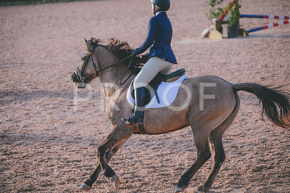 JJS_5074