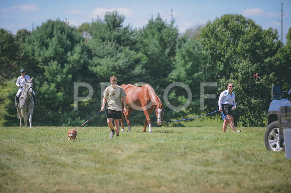 JJS_0170