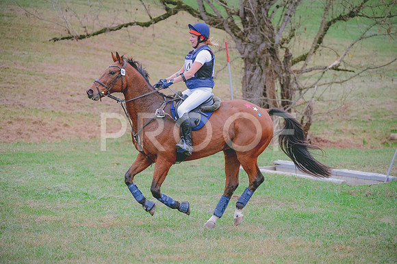 JJS_2231