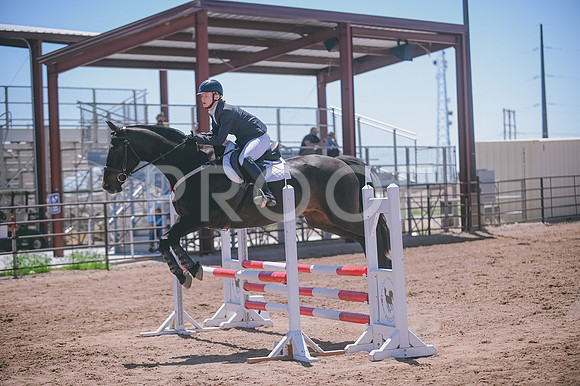 DSC_0407