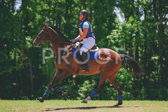 TKP_9543