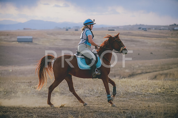 JJS_6246