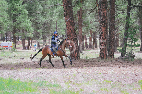 DSC_2153