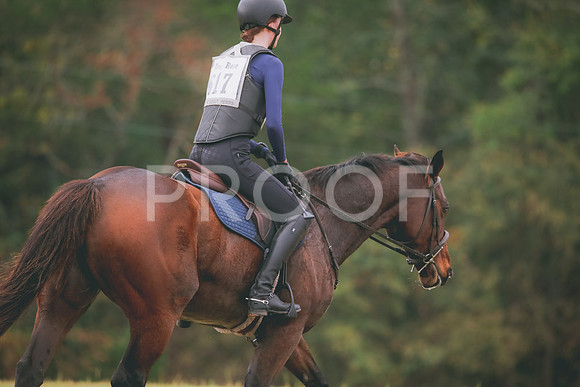 RWP_2731