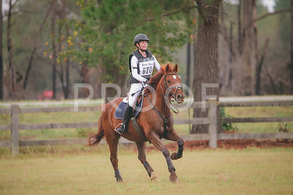 RWP_3406